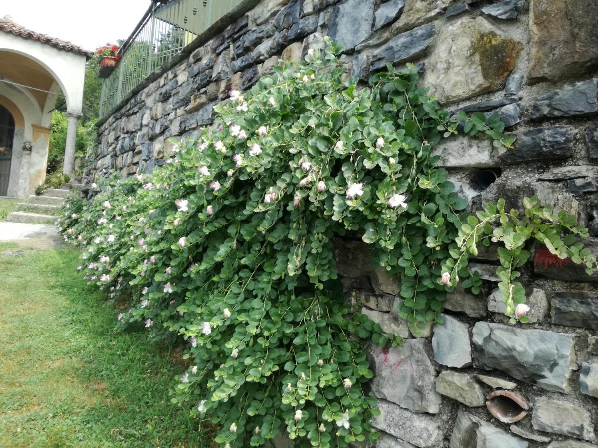 Balcone Dei Limoni Daire Nesso Dış mekan fotoğraf